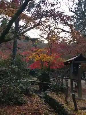 四宮神社の自然