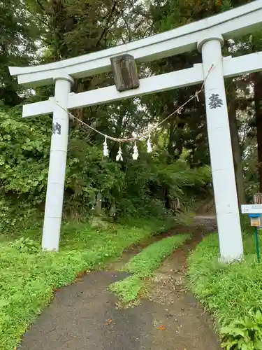 白髭神社の鳥居