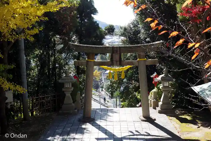 多井畑厄除八幡宮(兵庫県)