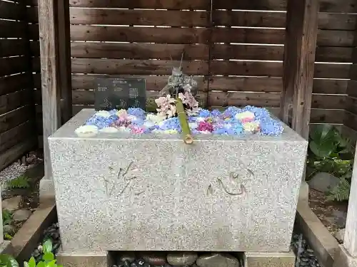 鎮守氷川神社(埼玉県)