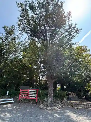 三熊野神社(静岡県)