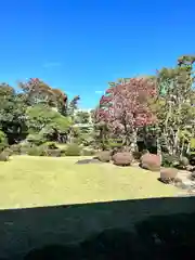 題経寺（柴又帝釈天）の庭園