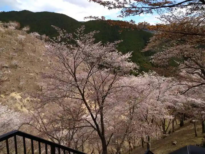 金峯神社(吉野町)の自然