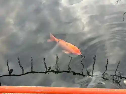 息栖神社(茨城県)