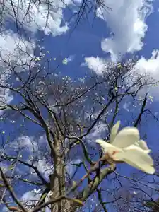 厚別神社(北海道)(2023年04月24日(月) 14時42分02秒投稿)