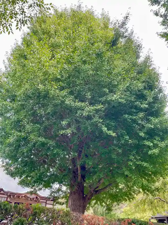 相模國分寺(神奈川県)