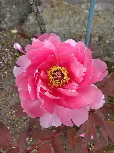 神炊館神社 ⁂奥州須賀川総鎮守⁂(福島県)