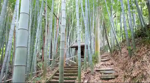 蔵敷熊野神社の末社・摂社