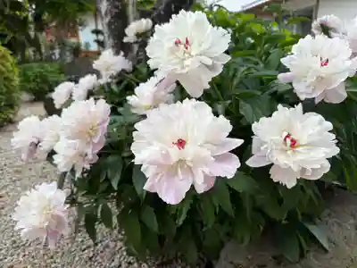 美奈宜神社(福岡県)