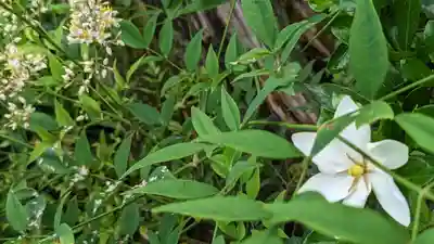 海印寺寂照院(京都府)