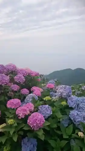 彌彦神社奥宮（御神廟）の景色