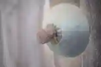 正福寺のその他建物