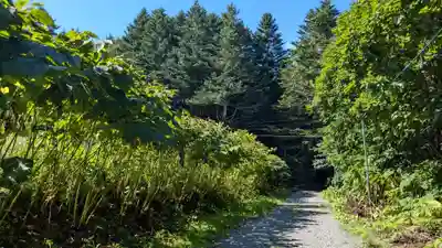 月浦八幡神社の自然