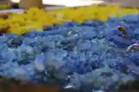 土津神社|こどもと出世の神さまの手水舎