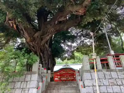八幡大神(神奈川県)