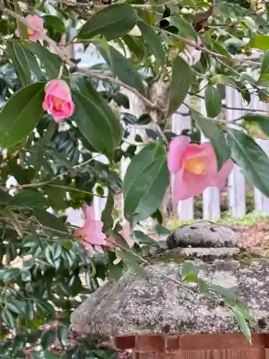 石座神社の{uncategorized: "未分類", other: "その他", undefined: "問題あり", building: "その他建物", grave: "お墓", sacred_gate: "鳥居", guardian: "狛犬", statue: "像", buddha: "仏像", history: "歴史", nature: "自然", garden: "庭園", animal: "動物", pagoda: "塔", temizu: "手水舎", mountain_gate: "山門・神門", sanctuary: "本殿・本堂", subordinate: "末社・摂社", art: "芸術", scenery: "景色", jizo: "地蔵", ema: "絵馬", goshuin: "御朱印", omikuji: "おみくじ", items: "授与品その他", amulet: "お守り", goshuincho: "御朱印帳", eats: "食事", festival: "お祭り", votive_dance: "神楽", shichigosan: "七五三参", wedding: "結婚式", experience: "体験その他", initially: "初詣", around: "周辺", anti_infection: "感染症対策"}