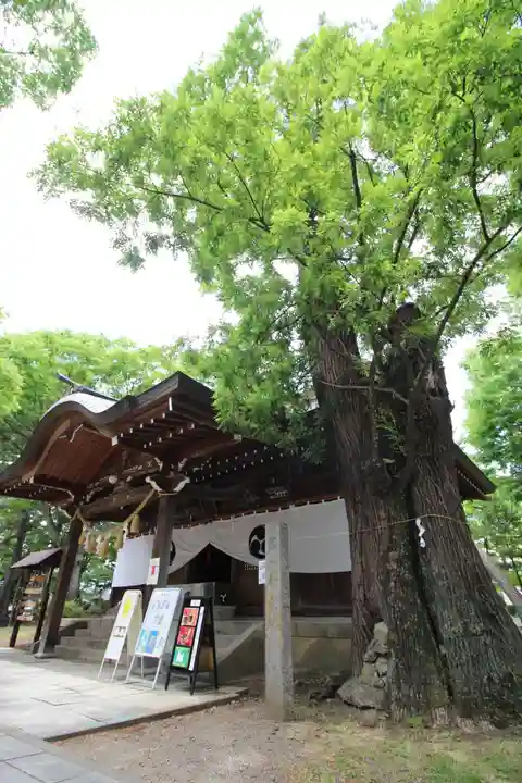 川中島古戦場八幡社(長野県)