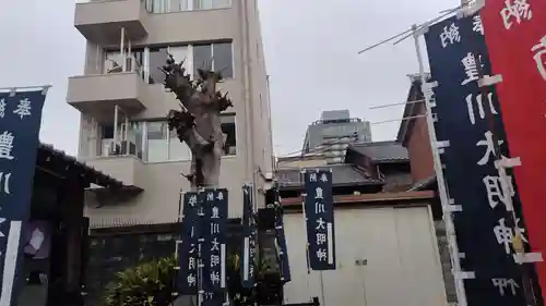 法雲寺(京都府)