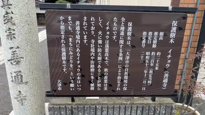 善通寺(滋賀県)