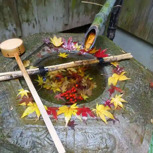 柳谷観音　楊谷寺の手水舎