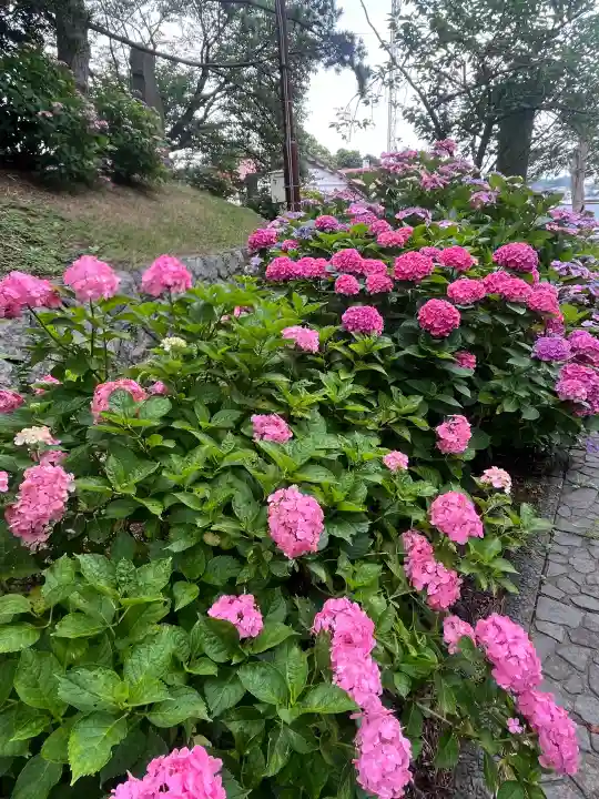 有珠善光寺(北海道)