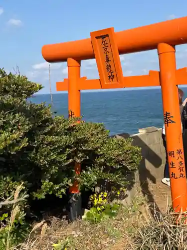 左京鼻龍神(長崎県)