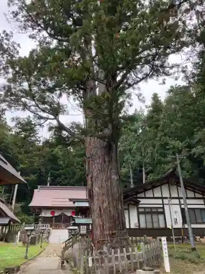 麻績神明宮(長野県)