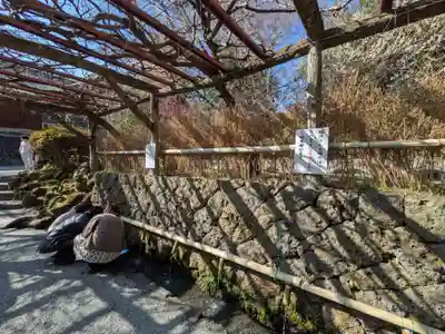富士山本宮浅間大社(静岡県)