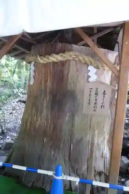 大神神社(奈良県)