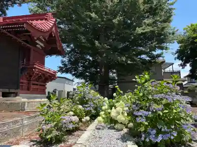 雀宮神社(栃木県)