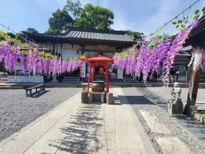 寺岡山元三大師(栃木県)