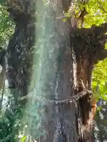 鞆江神社(明地)(愛知県)