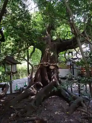 八大龍王水神(宮崎県)