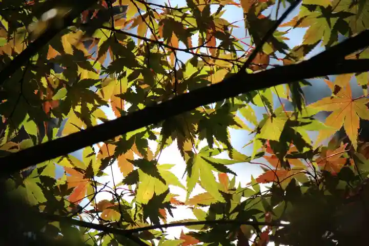 国宝 大法寺の自然