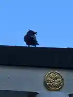 子安神社(東京都)