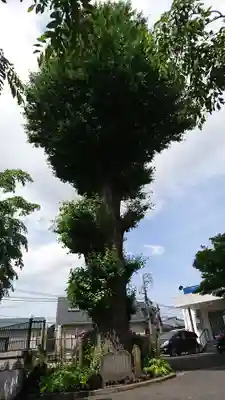 乗誓寺のその他建物