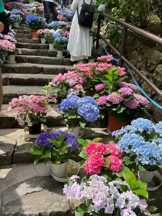 長谷寺(奈良県)