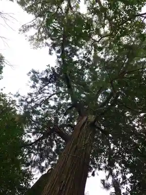 須佐神社(島根県)