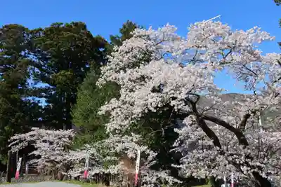 高司神社〜むすびの神の鎮まる社〜の景色