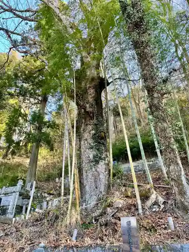 無辺寺(山梨県)