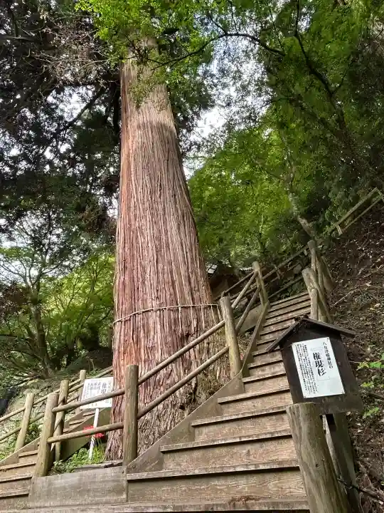 八女津媛神社(福岡県)