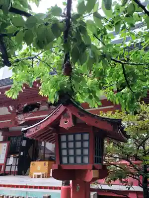 秋葉神社(東京都)