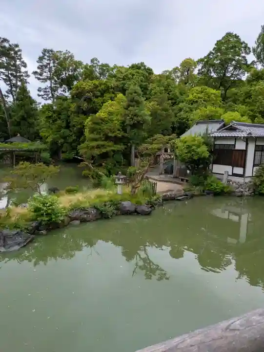 嚴島神社 (京都御苑)の{uncategorized: "未分類", other: "その他", undefined: "問題あり", building: "その他建物", grave: "お墓", sacred_gate: "鳥居", guardian: "狛犬", statue: "像", buddha: "仏像", history: "歴史", nature: "自然", garden: "庭園", animal: "動物", pagoda: "塔", temizu: "手水舎", mountain_gate: "山門・神門", sanctuary: "本殿・本堂", subordinate: "末社・摂社", art: "芸術", scenery: "景色", jizo: "地蔵", ema: "絵馬", goshuin: "御朱印", omikuji: "おみくじ", items: "授与品その他", amulet: "お守り", goshuincho: "御朱印帳", eats: "食事", festival: "お祭り", votive_dance: "神楽", shichigosan: "七五三参", wedding: "結婚式", experience: "体験その他", initially: "初詣", around: "周辺", anti_infection: "感染症対策"}
