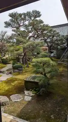 妙顯寺（妙顕寺）(京都府)