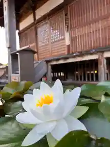 真言宗 善通寺派 薬王寺(香川県)(2024年05月14日(火) 07時31分50秒投稿)