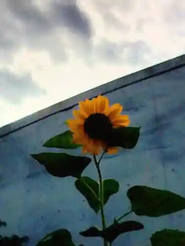 田端神社(東京都)