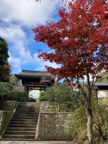 海蔵寺の山門