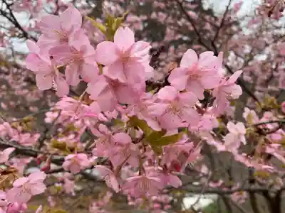 普門寺(切り絵御朱印発祥の寺)(愛知県)
