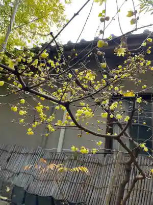 遠照山 光明寺（尼崎大仏）(兵庫県)