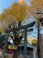 湯島天満宮の鳥居